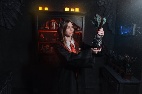 Фотография квеста «Гарри и последний крестраж»