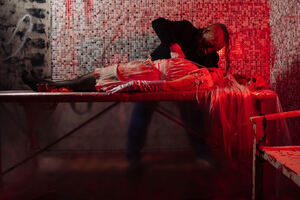 Фотография перформанса Впусти меня от компании За гранью (Фото 5)