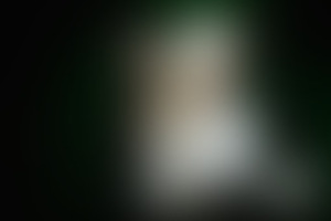 Фотография квеста Код да Винчи от компании Изоляция (Фото 1)